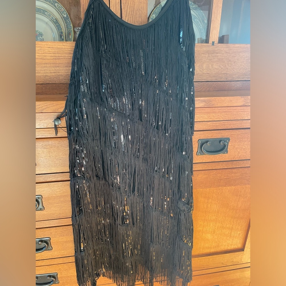 Flapper dress, never worn size Large